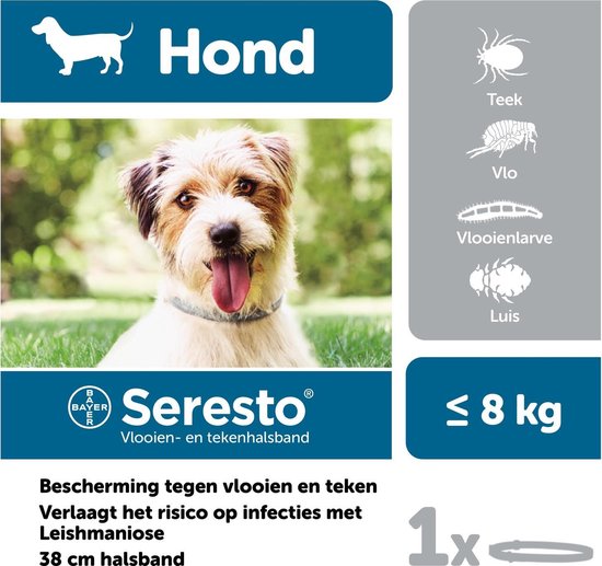 Vermelden Isolator bronzen Seresto Vlooien En Tekenband - Kleine Hond - 0 Tot 8 kg | bol.com