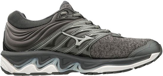 mizuno paradox