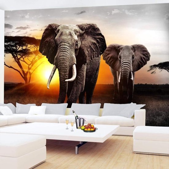 excuus grijs Bezit Fotobehang Vliesbehang Muurposter Olifanten Afrika 528x280 cm | bol.com