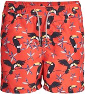 Jack & Jones Intelligence Aruba Animal  Zwembroek kind - Maat 176  - Unisex - rood/zwart/blauw/geel