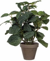 Kunstplant Pilea Groen - H 35cm - Keramiek sierpot - Mica Decorations