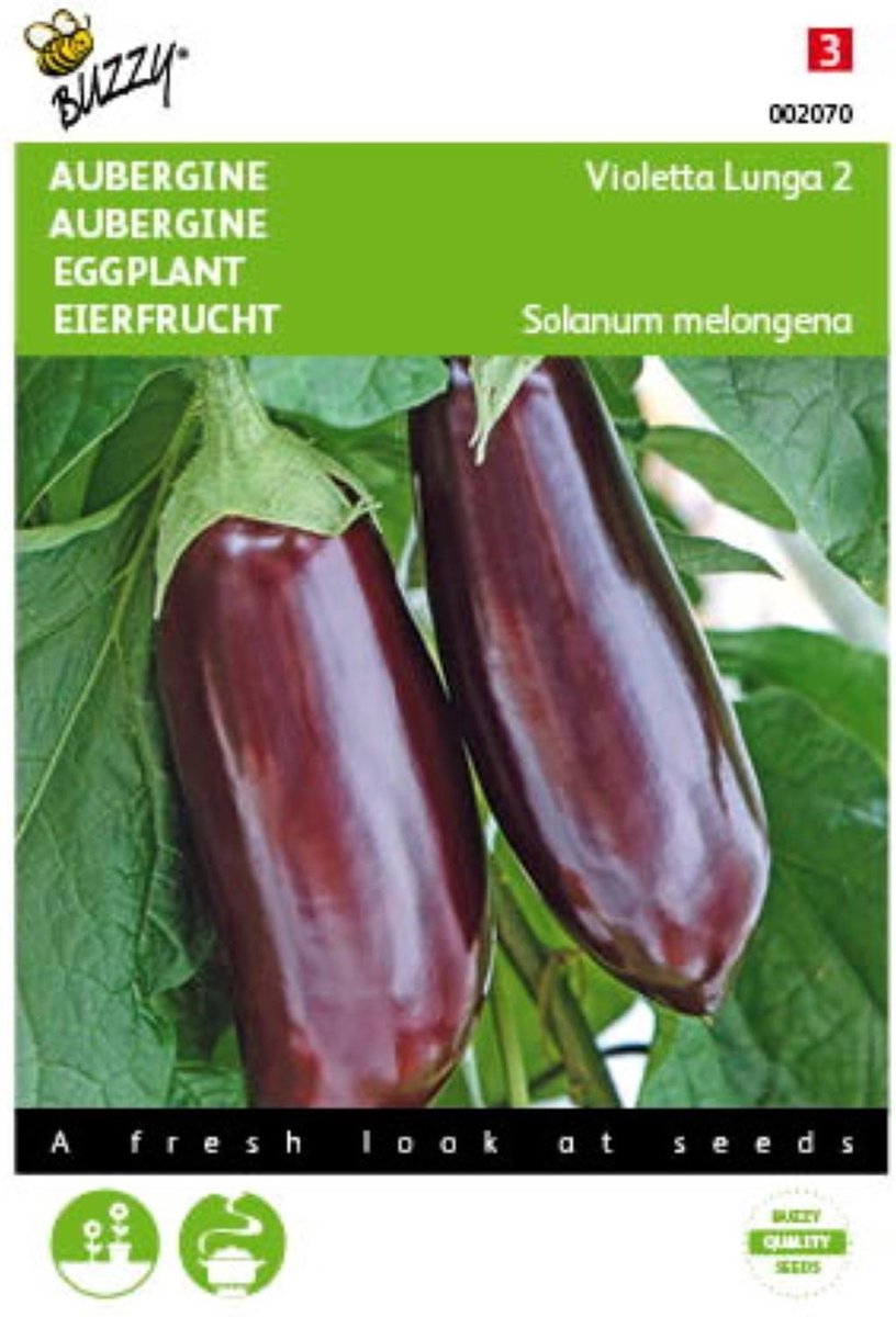 2 stuks - Buzzy - Aubergine Halflange Violette