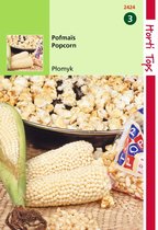 2 stuks Hortitops Pofmais Popcorn Plomyk Type Peppi