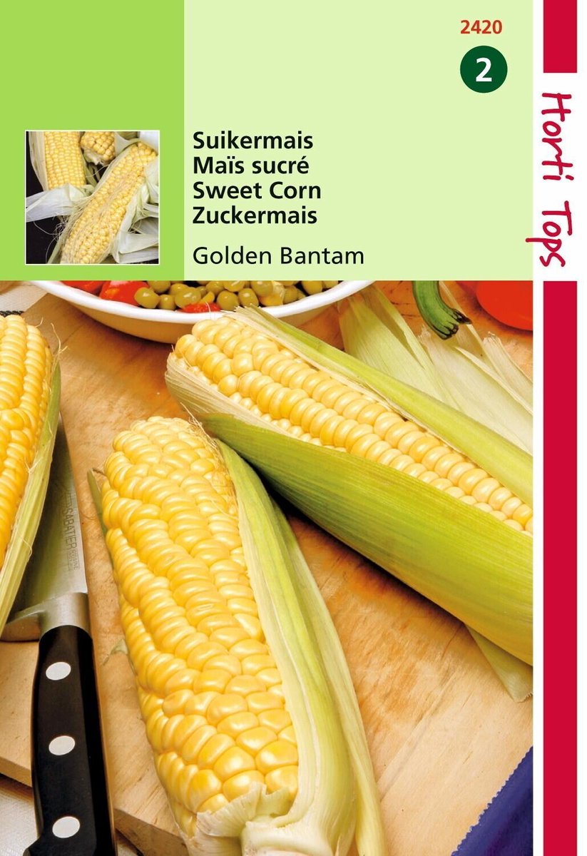 Zoete maïs 'Golden Bantam' (Zea Mays) Bio ca. 50 zaden Zoete maïs 'Golden Bantam' (Zea Mays) Bio ca. 50 zaden