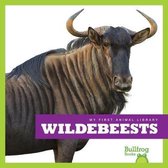 My First Animal Library- Wildebeests