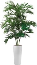 HTT - Kunstplant Areca palm in Clou rond wit H200 cm