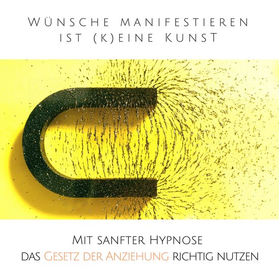 Wünsche manifestieren ist (k)eine Kunst - Das Gesetz der Re ... - cover