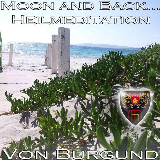 Moon and Back - Heilmeditation zur Förderung Ihrer Intuitio ... - cover