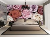 Roses Flowers Pink Purple Red Photo Wallcovering