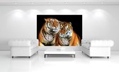 Tigers Photo Wallcovering