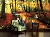 Forest River Beam Light Nature Photo Wallcovering