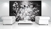Explosion Birds Abstract Photo Wallcovering