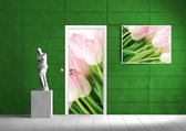 Flowers Tulips Nature Photo Wallcovering