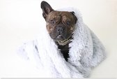 Couverture de Luxe chien pelucheux - Couverture pour Chiens - 100x75 cm - Moelleux - Chien - Couverture en fourrure - L - Grijs