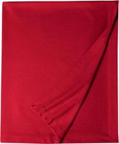 DryBlend® Fleece Stadium Blanket | Red - One Size