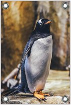Tuinposter –Pinguïn op Rots– 30x40cm Foto op Tuinposter (wanddecoratie voor buiten en binnen)