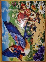 Denza - Daimond painting meisje met vogel en landschap 40 x 50 direct leverbaar