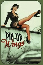 Wandbord - Pin-Up Wings -20x30cm-