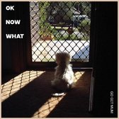 Ok Now What (12" Vinyl Single)