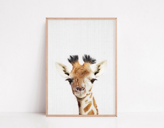 Chambre Bébé - Posters - Chambre Safari - Chambre Enfants - 6 Posters - Posters Animaux - Safari Décoration murale - Format A3 30x40 cm - Poster Chambre Bébé - Posters Enfants - Bébés Animaux