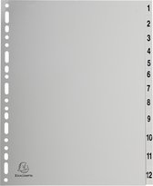 10x Tabbladen met bedrukte tabs in grijze PP - 12 tabs - 1 tot 12 - A4 maxi, Grijs