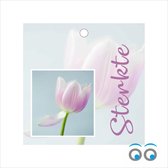 20 cartes Force - tulipe - fleurs - 7 x 7 cm