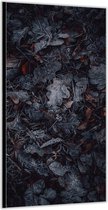 Dibond –Verbrande Bladeren– 100x200cm Foto op Aluminium (Wanddecoratie van metaal)
