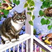 Diamond painting - Kat op balkon - 30x20cm