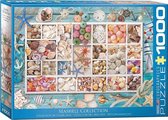 Eurographics puzzel Seashell Collection - 1000 stukjes
