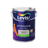 Levis Ambiance Muurverf - Colorfutures 2020 - Extra Mat - Flagstone - 5L