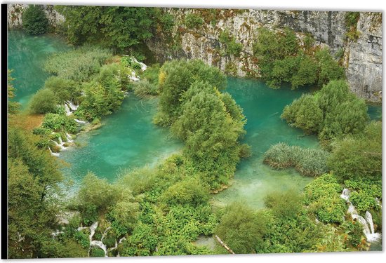 Dibond –Bomen in het Water– 40x30 Foto op Aluminium (Wanddecoratie van metaal)