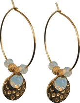 Stainless steel - oorbellen - dames - goudkleurig - FlowJewels
