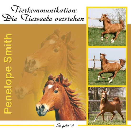 Tierkommunikation: Die Tierseele verstehen - cover