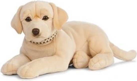 Vrouw faillissement Het hotel Grote pluche blonde Labrador hond knuffel 60 cm - Honden huisdieren knuffels  -... | bol.com