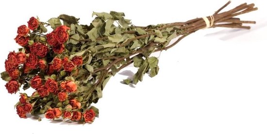 10 gedroogde oranje rozen | bol.com