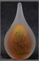 Urn met uw gewenste naam en afbeelding van een hond middels zandstraling- Urn-small- Groen en Geel- 50ml inhoud-Druppel mini urn voor een kleine deelbestemming van het crematie as-urn mens-urn dier-Aandenken-Gepersonaliseerd-Gedenken