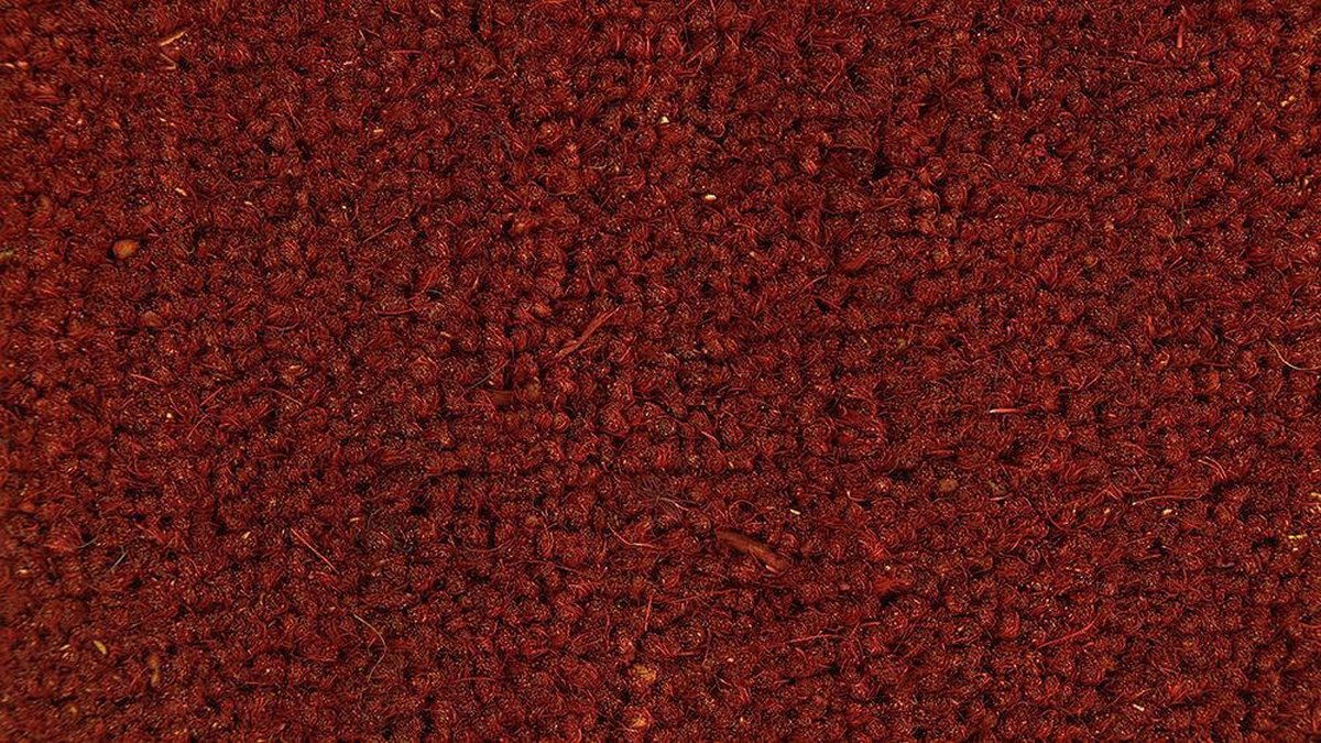 Kokosmat Rood Deurmat - 60 x 80 cm - Antislip rug - Slijtvast
