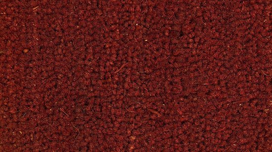 Kokosmat Rood  Deurmat - 60 x 80 cm - Antislip rug - Slijtvast