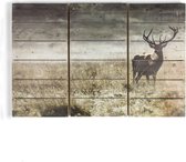 Art for the Home | Print op Hout Set van 3 | Highland Hert | 60x90 cm