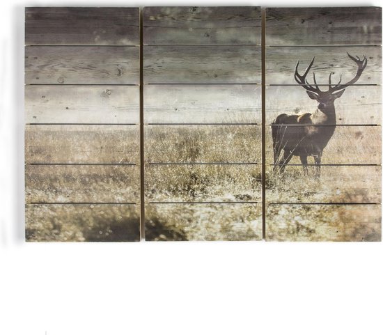 Art for the Home | Print op Hout Set van 3 - Highland Hert - 60x90 cm