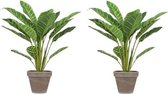 2x Lichtgroene Calathea kunstplant 38 cm in bruine plastic pot - Kunstplanten/nepplanten 2 stuks