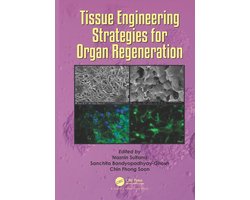 Tissue Engineering Strategies for Organ Regeneration