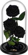 La Rose Triple Black | Long Life Roos in glazen stolp | Verjaardag | Cadeau | Liefde | Woonaccessoires & decoratie | Belle en het Beest | Beauty and the Beast | Valentijn | Valenti