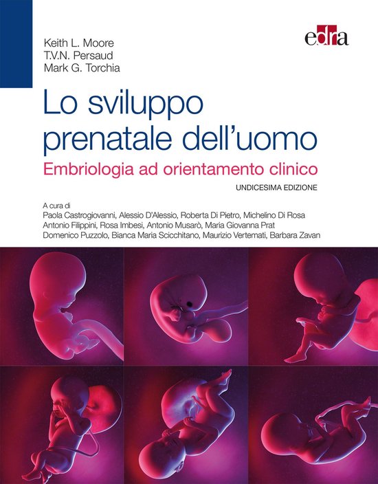 Lo sviluppo prenatale dell'uomo - cover