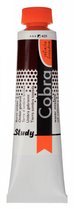 Cobra Study Olieverf 40ml | Burnt Umber (409)
