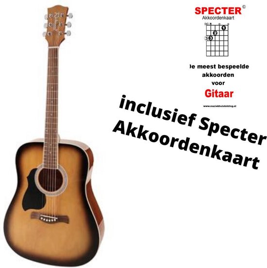 diepte zwaan Fotoelektrisch Richwood Artist Series linkshandige akoestische gitaar met handige  akkoordenkaart | bol.com