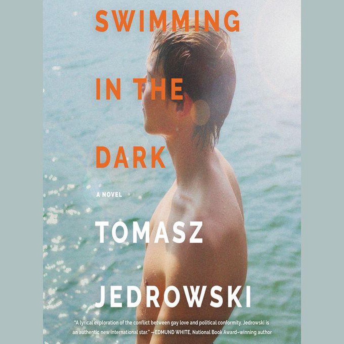 Omslag van Swimming in the Dark