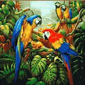 JDBOS ® Schilderen op nummer Volwassenen - Papegaai in de jungle - Papegaaien - Paint by numbers - Verven volwassenen - 40x50 cm
