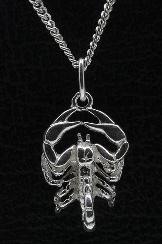 Pendentif collier en argent signe du zodiaque Scorpion - grand | bol
