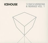 The 12 Inches - Vol 1